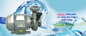 Thợ chuyên sửa chữa máy bơm tại quận 1